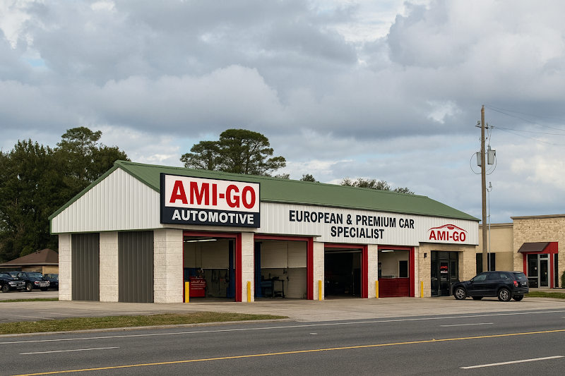 Ami-Go-Automotive-google-photo