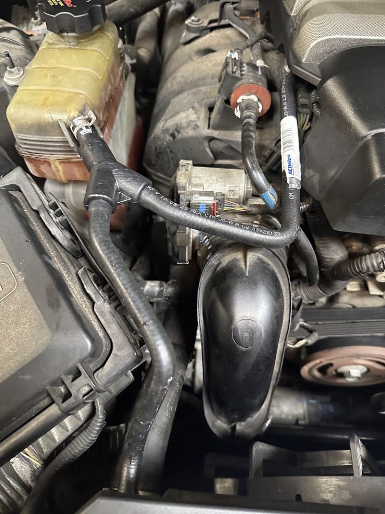 Antz-Auto-google-photo