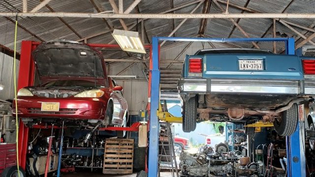 Chucho-Autotrans-google-photo