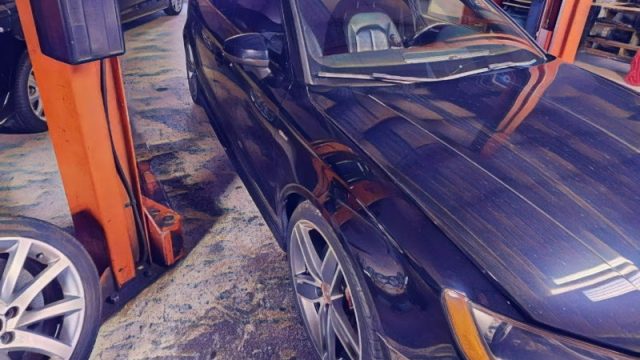 German-Precision-Auto-google-photo