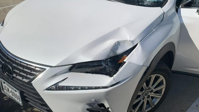 Pro-Gear-Collision-google-photo