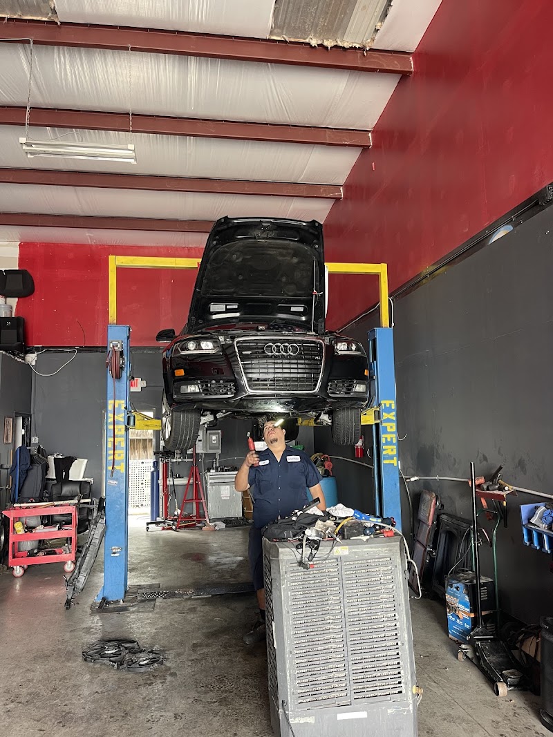 The Expert Mechanic