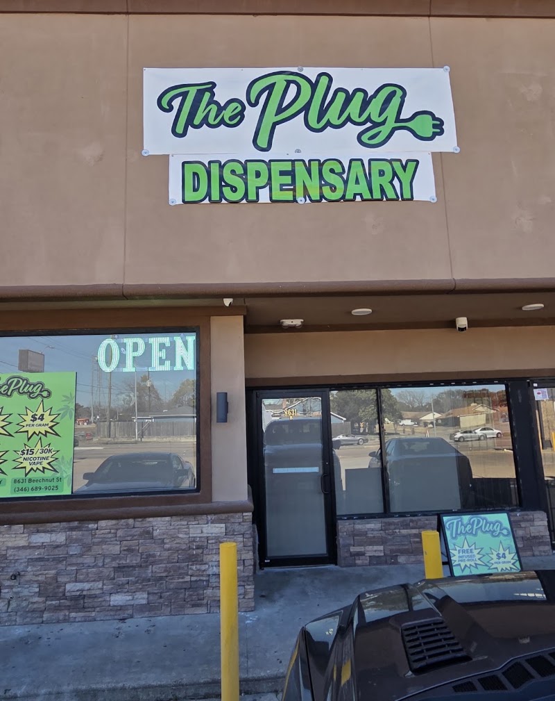 The-Plug-google-photo